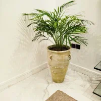گلدان طبیعی