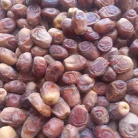 خرمای زاهدی|خوردنی و آشامیدنی|شیراز, خلدبرین|دیوار