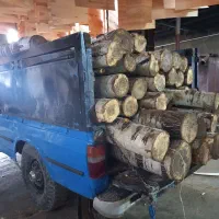 خرید|خدمات باغبانی و درختکاری|ماکو, |دیوار