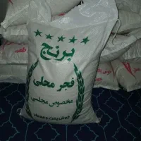 برنج فجر سالم