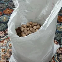 گردو کیلویی ۴۰۰ هزار تومان|خوردنی و آشامیدنی|دهدشت, |دیوار