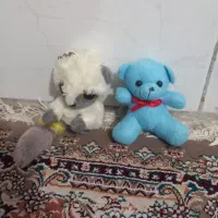 دو عدد عروسک تمیز