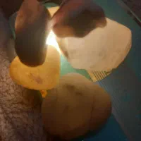 سنگهای قیمتی|جواهرات|شیراز, قلعه نو|دیوار