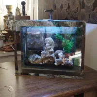 آکواریوم همراه ماهی و سایر تجهیزات