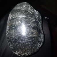 سنگ تزئینی که آزمایشگاه نرفته