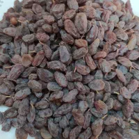 کشمش باغات بوانات|خوردنی و آشامیدنی|شیراز, شهرک مدرس|دیوار