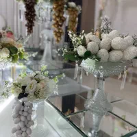 سالن عقد آرامیس|خدمات پذیرایی، مراسم|قم, بکایی|دیوار