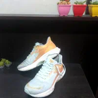 کفش مارک اصل