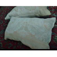 بالشت طبی سالم نو