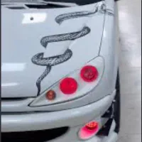 چراغ جلو مورتی ۲۰۶