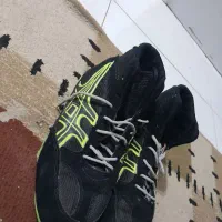 کفش کشتی|کیف، کفش، کمربند|شاهین‌شهر, شهرک گلدیس|دیوار