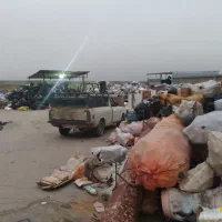 نیازمند حسابدار