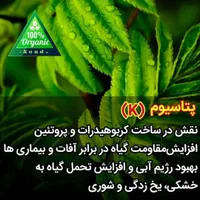 قرص کود ارگانیک معجزه ای برای رشد گیاهان|گل و گیاه طبیعی|شهریار, شهریار|دیوار