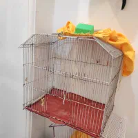 قفس پرنده