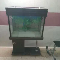 آکواریوم بزرگ باتمام امکانات