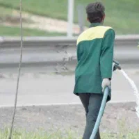 کارگر فضای سبز
