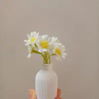 گلدان مراکشی