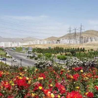 زمین-تجاری-ورزشی-درمانی-فرهنگی-مسکونی