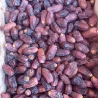 خرمای درجه یک