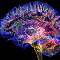 پذیرش پژوهش هوش مصنوعی پایان نامه پزشکی مهندسی|خدمات آموزشی|اصفهان, جلفا|دیوار