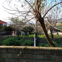 فروش ۲ پلاک مسکونی در شیرگاه (روستای چالی)|فروش زمین و ملک کلنگی|شیرگاه, |دیوار