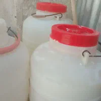 دوغ هس