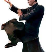 آموزش هنر رزمی وینگ چون کونگ فو|خدمات آموزشی|آستانه اشرفیه, |دیوار