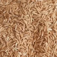 چلتوک‌لنجان
