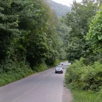 باغ مرکبات۴۳۰۰۰متری همراه سوله و خانه قدیمی سنددار