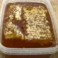 عسل اصل تازه با موم