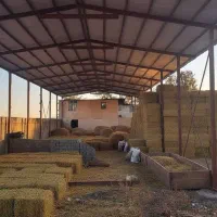 سوله اجاره ای برای دام سبک همراه با مجوز از جهاد