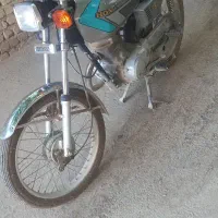 صدف ۸۴