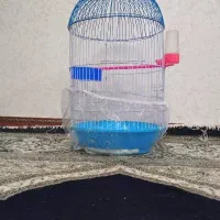 قفس گرد بزرگ