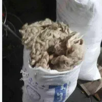 ۳خلال پشم گوسفندنشسته کیلو۱۳هزار
