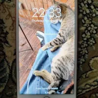 اپل ۷ پلاس|موبایل|گنبد کاووس, |دیوار