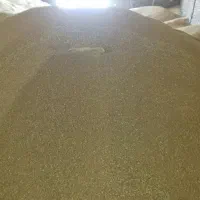 خوراک و نهاده های دامی ( سویا - جو - ذرت )