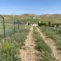 ۳ هکتار زمین عرصه عیان