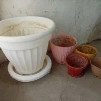 تعدادی گلدان