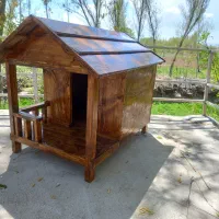 خانه رویایی سگ و گربه شما