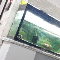 اکواریوم بسیاربزرگ باانواع وسایل