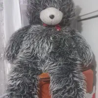 خرس بزرگ