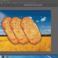 شاطر بربری تهران نیازمندیم