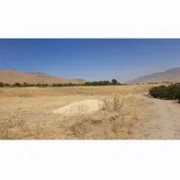 زمین کشاورزی 1 هکتار معاوضه با خودرو|فروش دفتر صنعتی، کشاورزی، تجاری|شازند, |دیوار