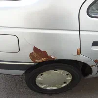 405 نقره ای نهنگ