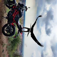 موتور بنلی ۲۵۰ در حد مدل ۴۰۱|موتورسیکلت|گرگان, |دیوار