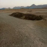 کود گوسفندی