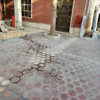 یک جلسه کوچینگ رایگان