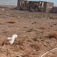 زمین مناسب باغچه و گلخانه|فروش دفتر صنعتی، کشاورزی، تجاری|صفادشت, |دیوار