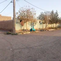 فروش زمین ۱۳۰۰ متری|فروش زمین و ملک کلنگی|قنوات, |دیوار