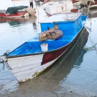ماهشهر